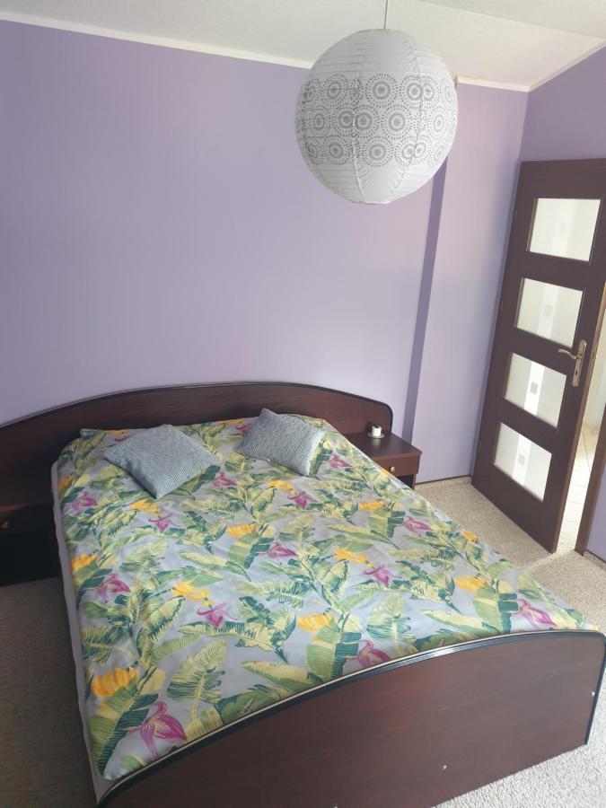Apartament Pod Sosnami 1 Noclegi Otw Borowno Wlk Skarszewy Exterior foto
